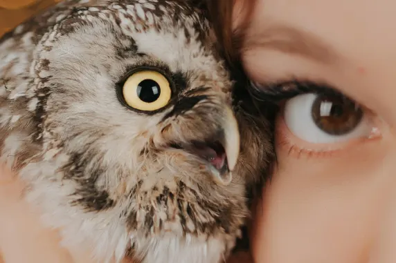 VegasWild Kaszinó Támogatás